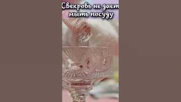 Почему свекровь не дает мыть посуду? #shorts