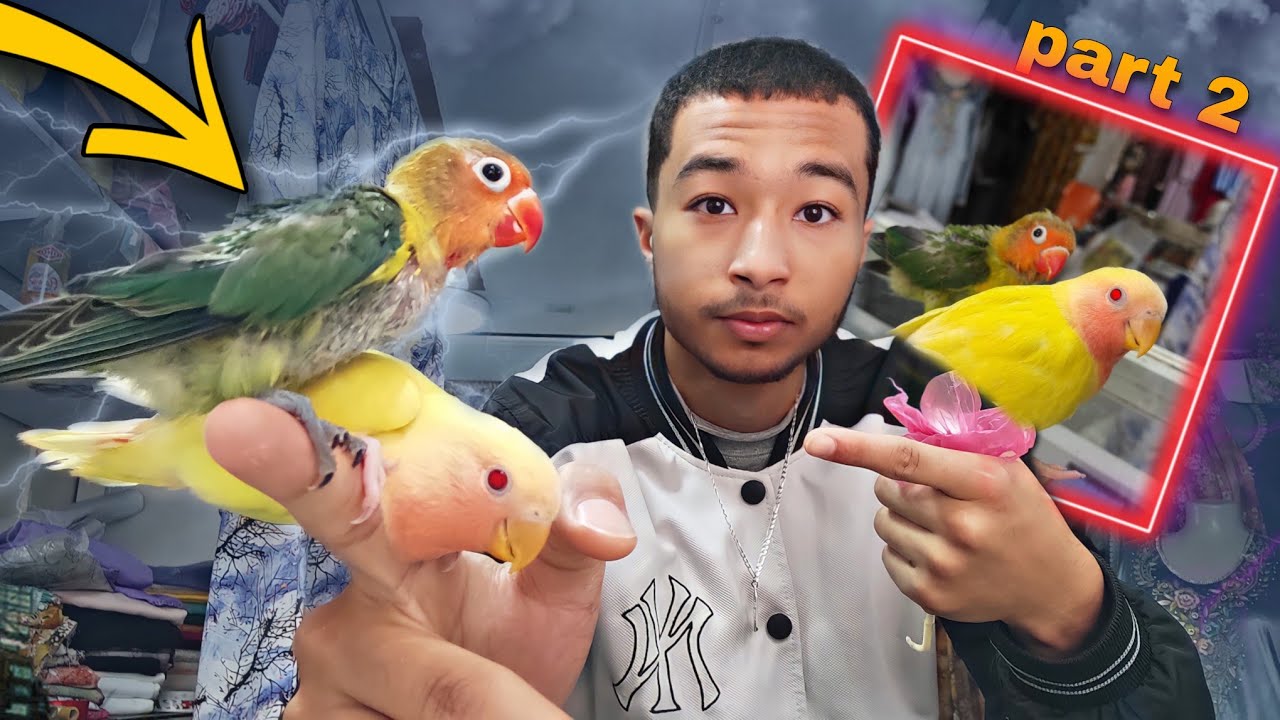 part 2 : ها كيفاش دريسيت ريكو 😱🔥 و الاكل لي تنوكلو .. و شحال من مرة فالنهار......😲🔥