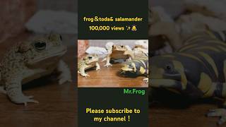 #shoto  Frog & Toad & Salamander 2