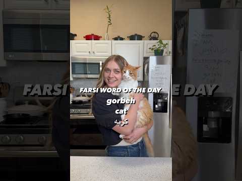 FARSI WORD OF THE DAY #farsi #persian #ytviral