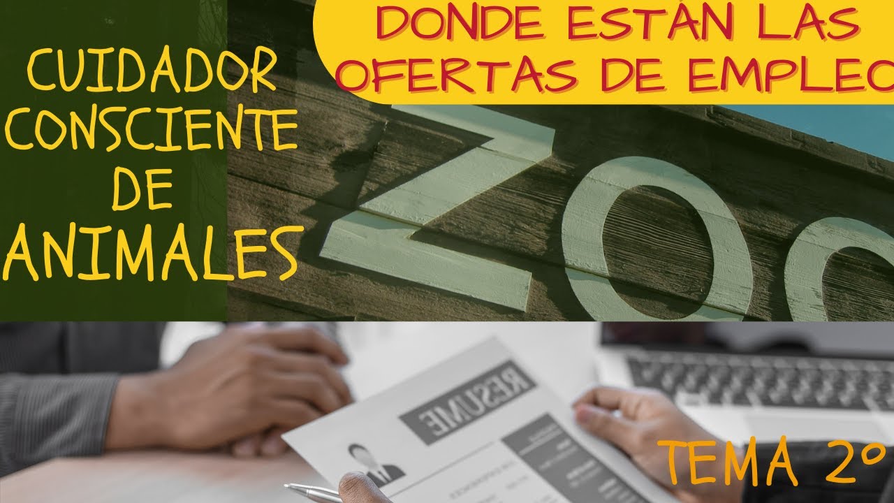 #02/¿Qué se necesita para trabajar en un zoo? - YouTube
