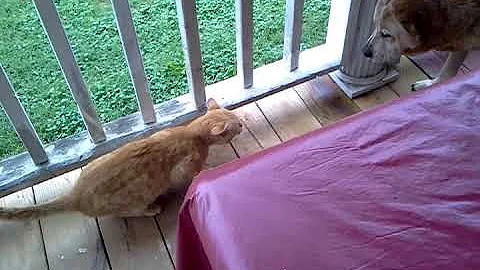 Best Friends