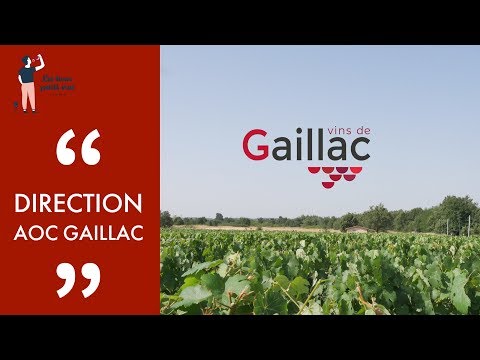 Route des vins: Gaillac