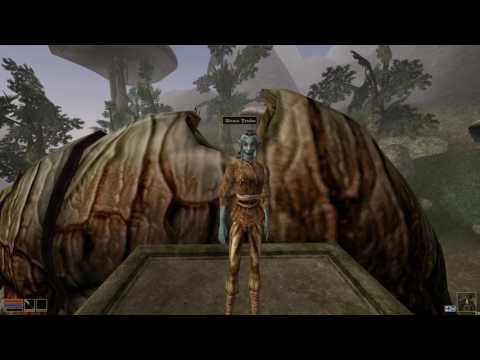 Видео: Morrowind лучший старт. золото и доспехи. гайд