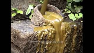 Uefateams.com-Biogas production in India, from cow poop!