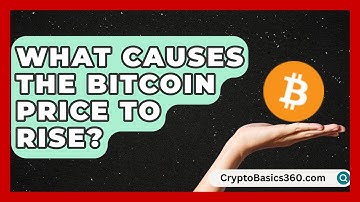 What Causes the Bitcoin Price to Rise? | CryptoBasics360 News