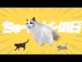 寝起きヤシの木/猫ver.【ちゅ〜るナシの日】
