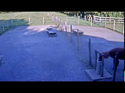 Live Camera Axis P3225-LV Mk II