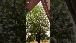 St Pauls s School Nature Dnet