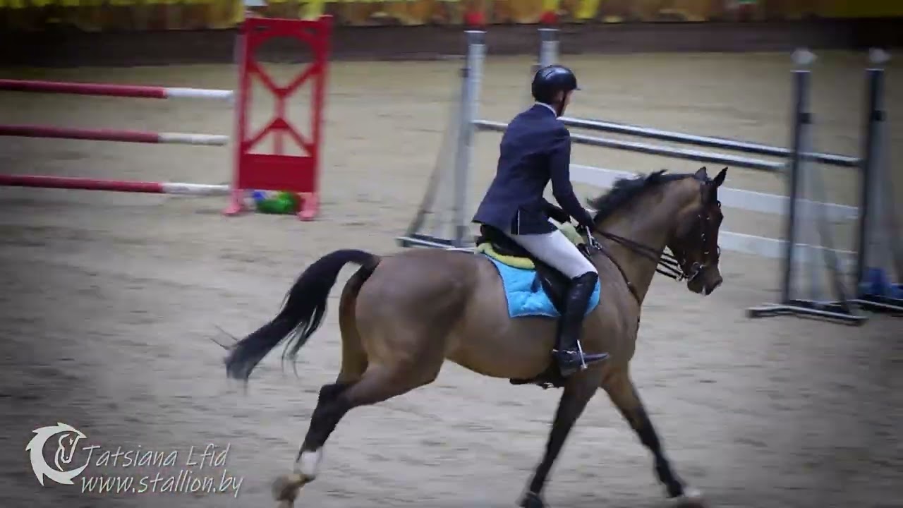 Американ Бой -Аlexandr Zelenko  060226