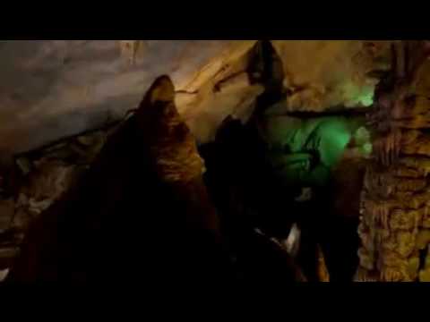 محمد العريفي اخر وصيه للرسول قبل موته