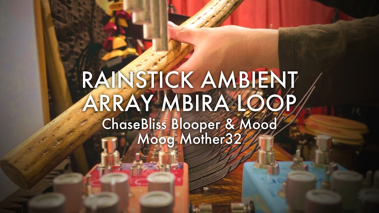 雨音の楽器レインスティック | Rainstick Ambient, Array Mbira, MOOG