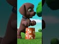 Zuma Show Off His Skill On Drumming Paw Patrol 