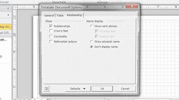 Visio 2010 CDM Settings