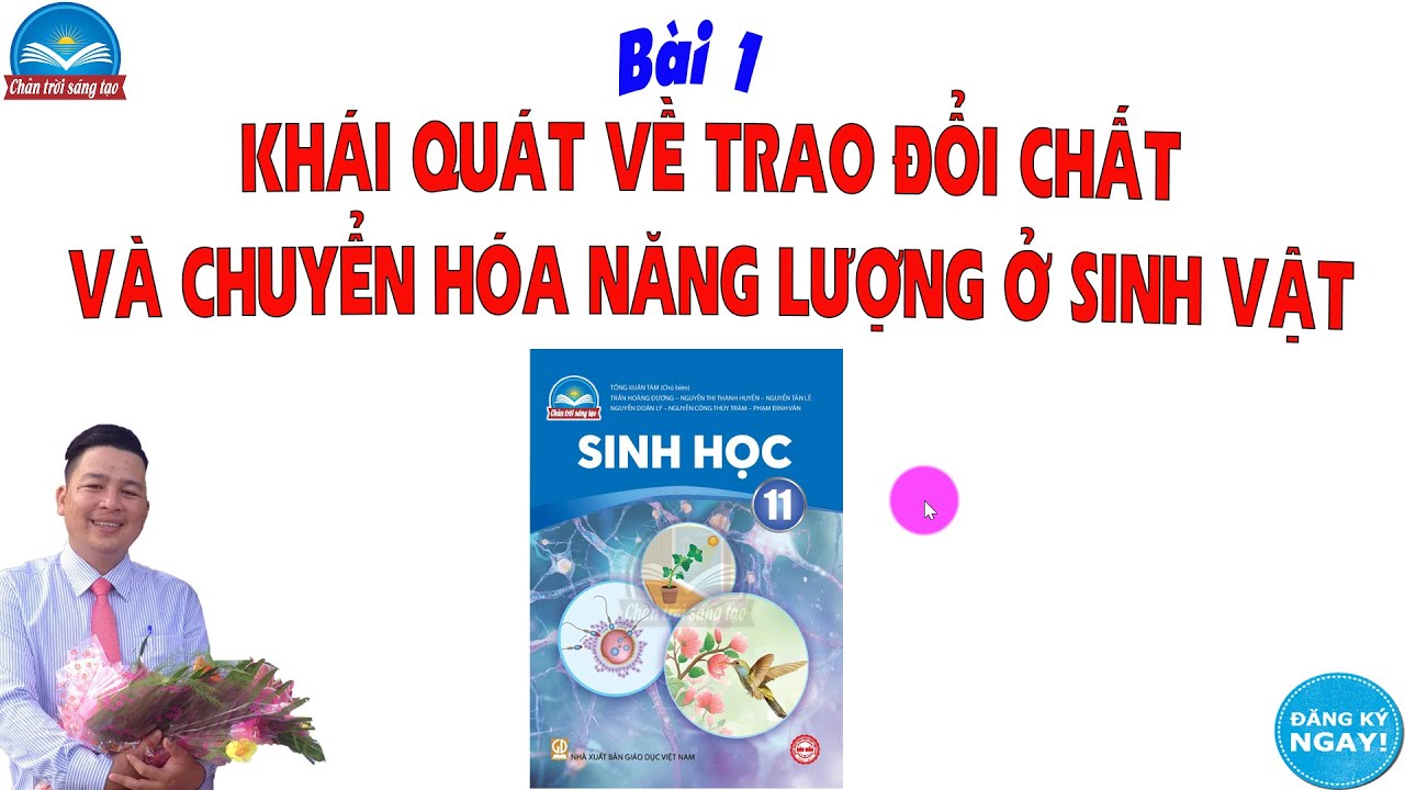 Биология 11 CTST_Урок 1 Обзор метаболизма и преобразования энергии в организмах
