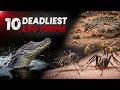 10 Deadliest Lifeforms That REALLY Exist in AMERICA Today
