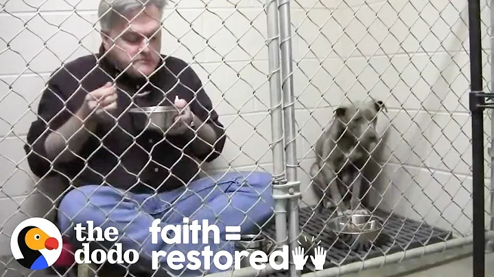 Vet Eats In Rescue Dog's Cage To Make Her Feel Saf...