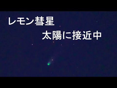 にゃんた - YouTube