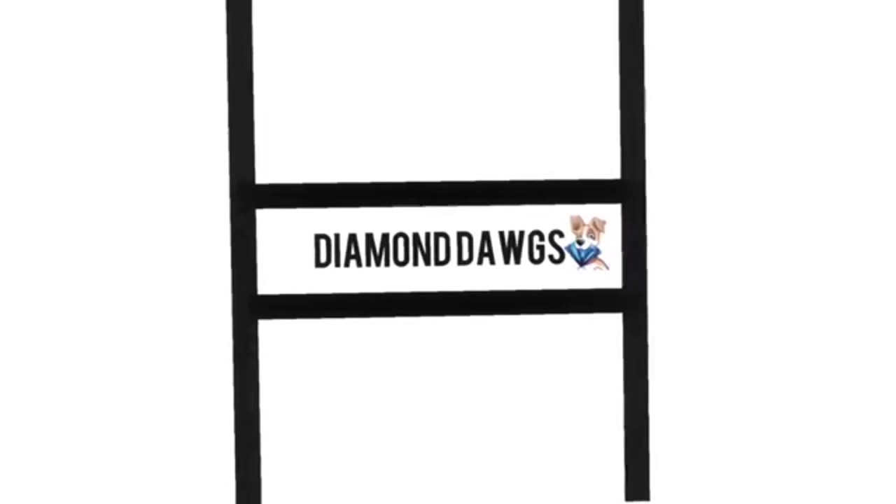 Diamond Dawgs / Solo684_    GamePlay