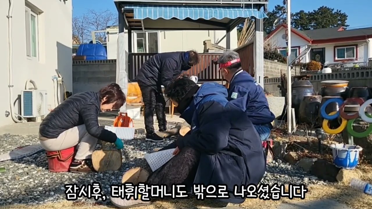 영하 6도 강풍 속에서 표고버섯 종균 넣기/태휘.만당 겨울 작업