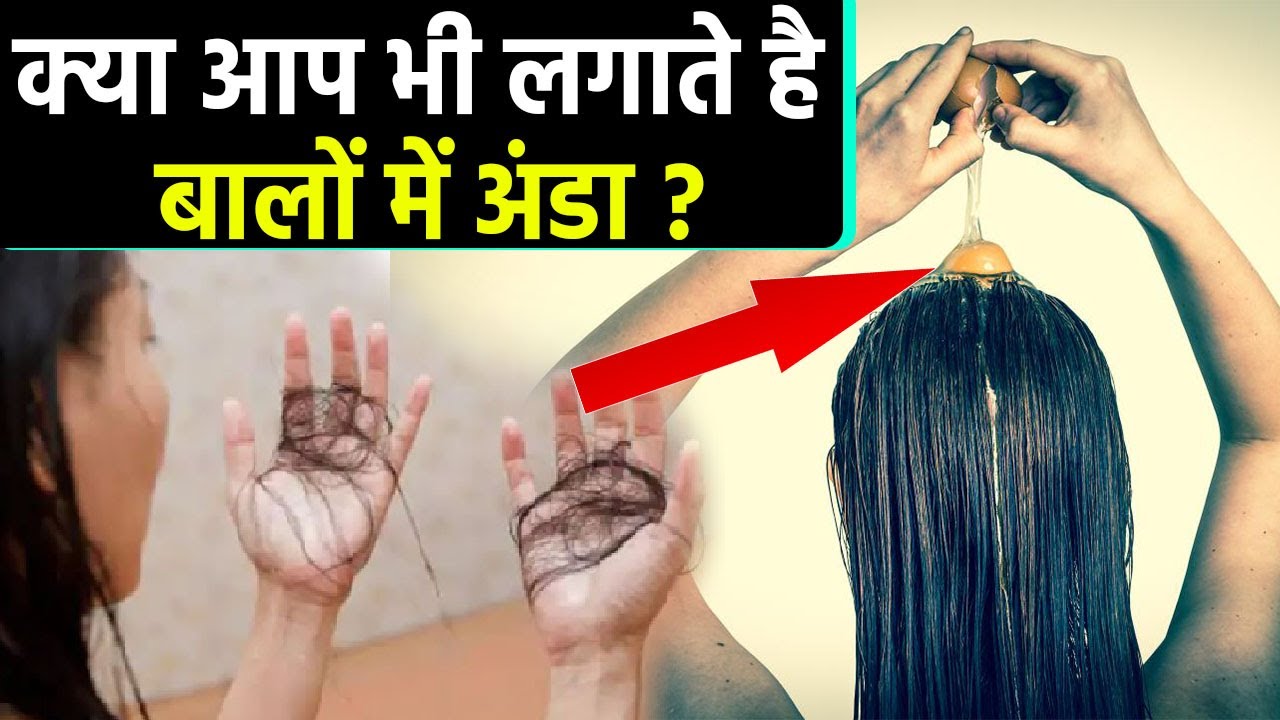 बाल में अंडा लगाने से क्या होता है Balo Me Anda Lagane Se Kya Hota
