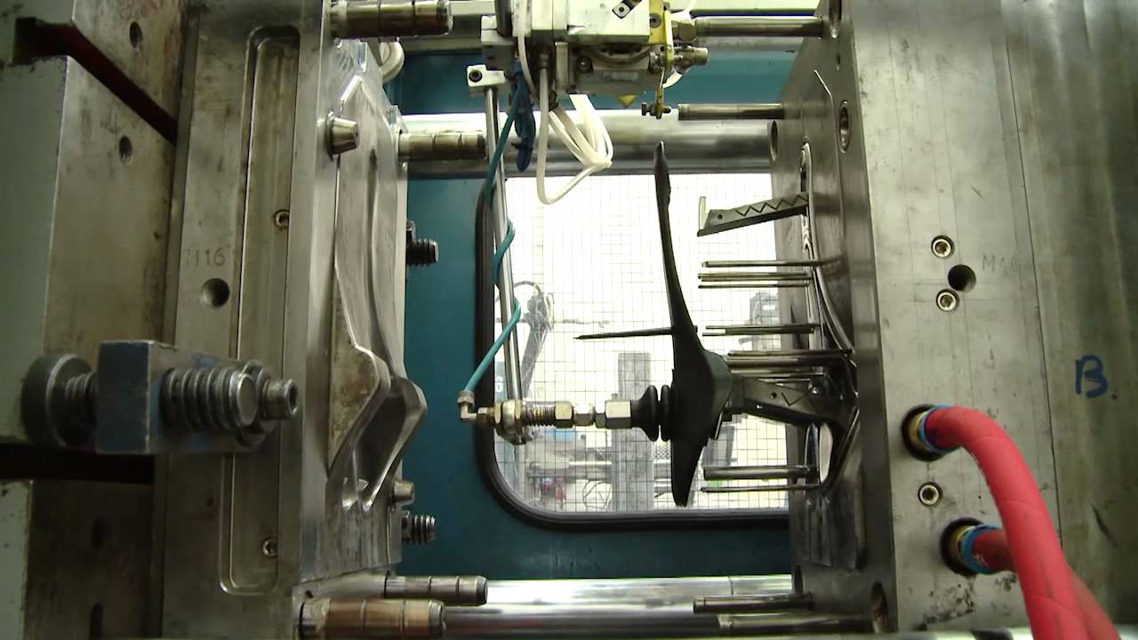 Come è Fatto: estratto