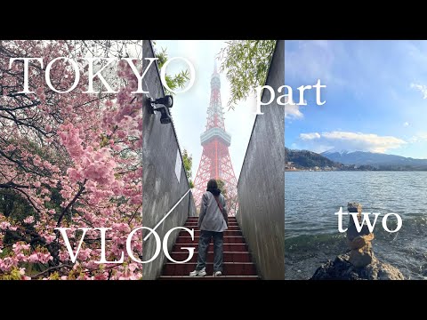tokyo vlog 2024 pt 2: mt fuji, lake kawaguchiko, shibuya sky, wagyu, tokyo tower, cherry blossoms!