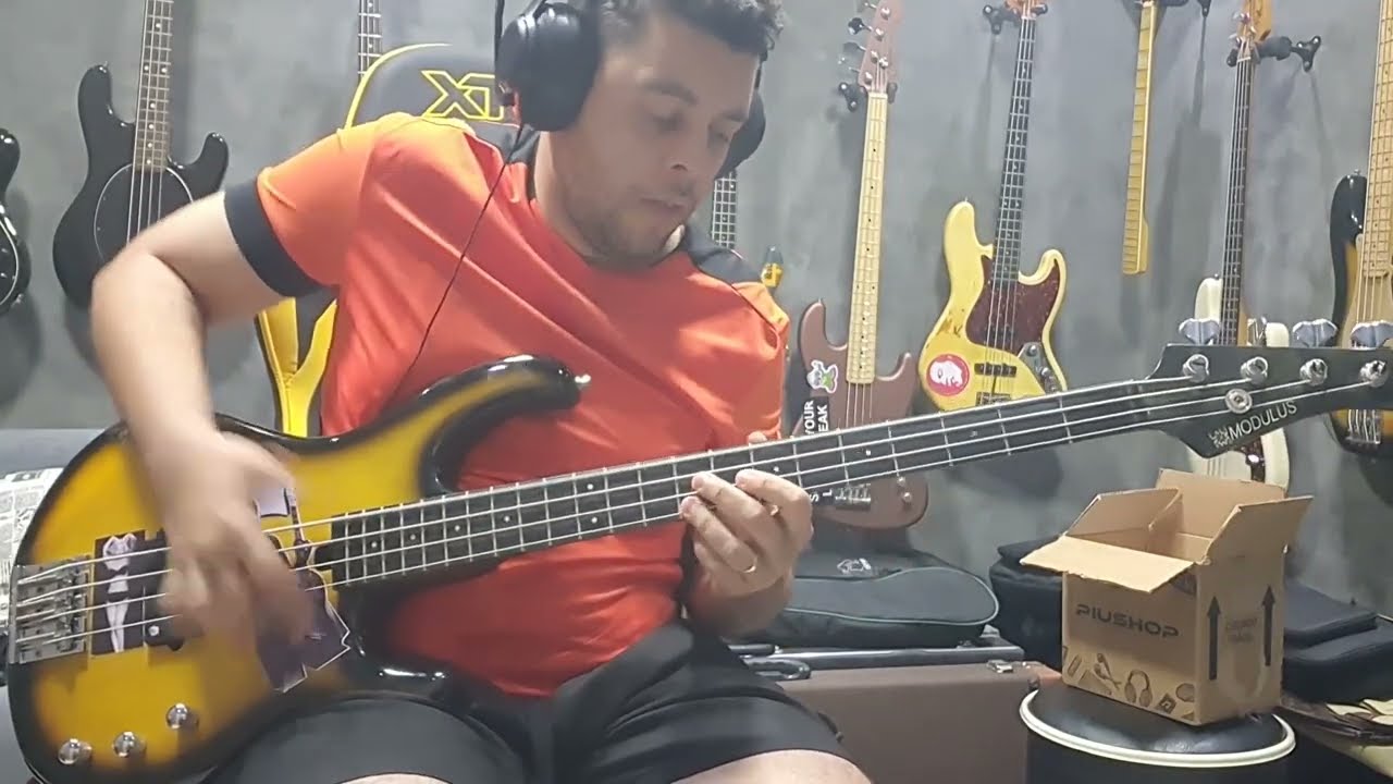 Modulus Basses (Legacy Lane Poor Pickups) vs Kian/Fender Active