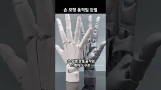 아티스트의 비밀무기 공개! 관절이 움직이는 손 모형 #pandaiso #해외직구 #손모형 #움직임관절 #손가락모형 #손피규어 #드로잉연습