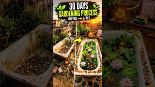 30 Days Gardening 🪾🌲 Process 🛞 !! #garden #gardening #shorts #trending #video #gardendesign #video !