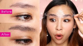 DIY Brow Lamination  The Newest Brow Trend  | TINA TRIES IT