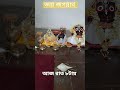 জয় জগন্নাথ | Jay Jagannath #jagannath #jagannathdarshan #rathyatra #ekmusafir