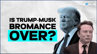 Elon Musk Leaves DOGE | Elon Musk-Donald Trump Bromance Ends: What Happened To 'MAGA' Pair