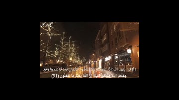 #خالد الجليل سورة #النحل💐 #حالات واتس اب #الجمعة🍂