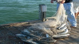 Amazing Big Cast Net Fishing - Traditional Net Catch Fishing in The River 