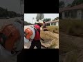 #short #shorts #mowing #edging #cleanup #asmr #satisfying #sbmowing #cleaning #overgrownyard #fypシ