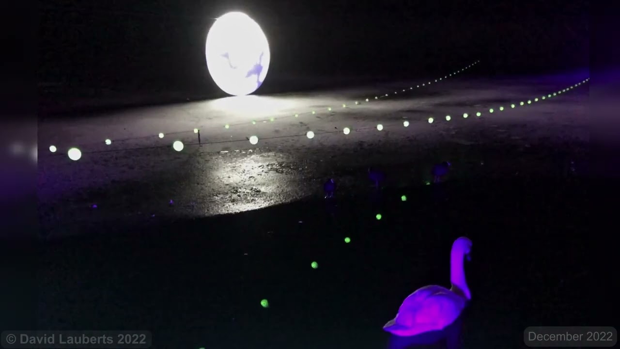 Coombe Abbey Christmas Lights Luminate 2022