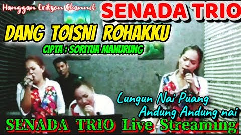 SENADA TRIO - Cover Lagu " DANG TOISNI ROHAKKU " Cipta: Soritua Manurung @hangganeriksonchannel8093