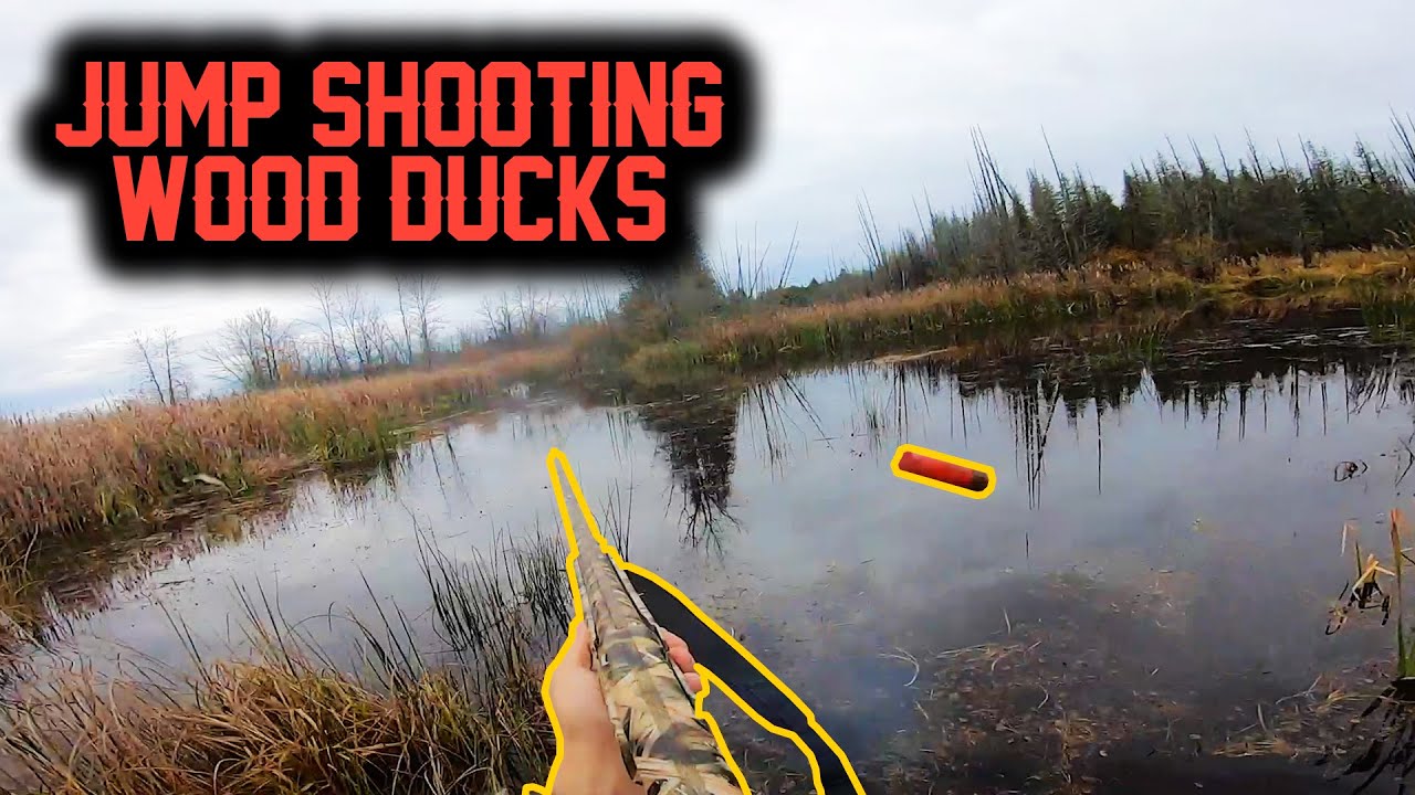 JUMPING Ducks On SMALL PONDS In EASTERN ONTARIO YouTube