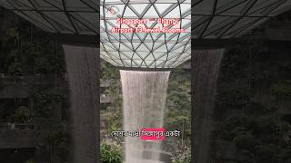 Singapore 🇸🇬 Changi Airport Jewel Blooms #viralyoutubeshorts #travel #foryou #viralyoutubevideo