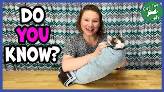 How To Towel Wrap Your Cat.