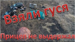 Есть ГУСЬ и утка. Сломалось все. There is a GOose and a duck. Everything has broken. 4K