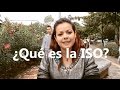 ¿Qué es la ISO? | Hablemos de Calidad