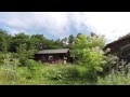 ❀ 森の中のナチュラルなお庭 ❀ Garden in the forest
