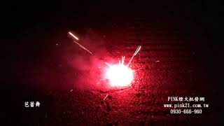 2019100209