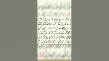 #اكسبلور #القرآن_الكريم #لايك #القران ذ #المصحف #تيك_توك #الرحمن #راحة_نفسية ذ #تلاوات_رائعة