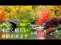 【聴き流しで】すごく嬉しい連絡がきます！幸せな未来になる💗木琴・川の音I will be very happy to contact you. It will be a happy future.