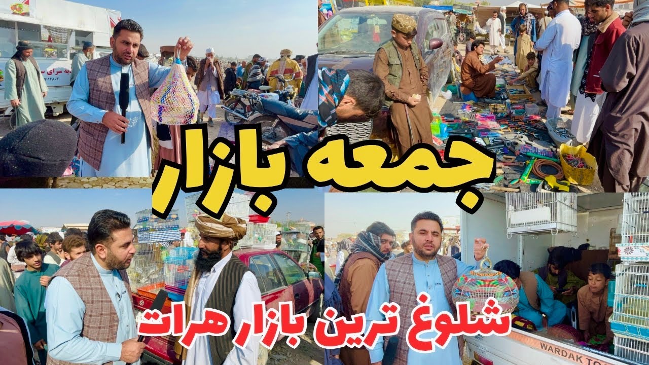 جمعه‌بازار هرات | از سوزن تا سفینه! بازار پرهیاهوی هرات
