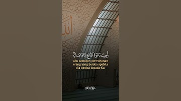 ماتيسر من سورة البقرة بصوتٍ رقيقٍ عذب♥️🌿