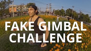 Fake Gimbal Challenge: Pocket Camera Stabilization!